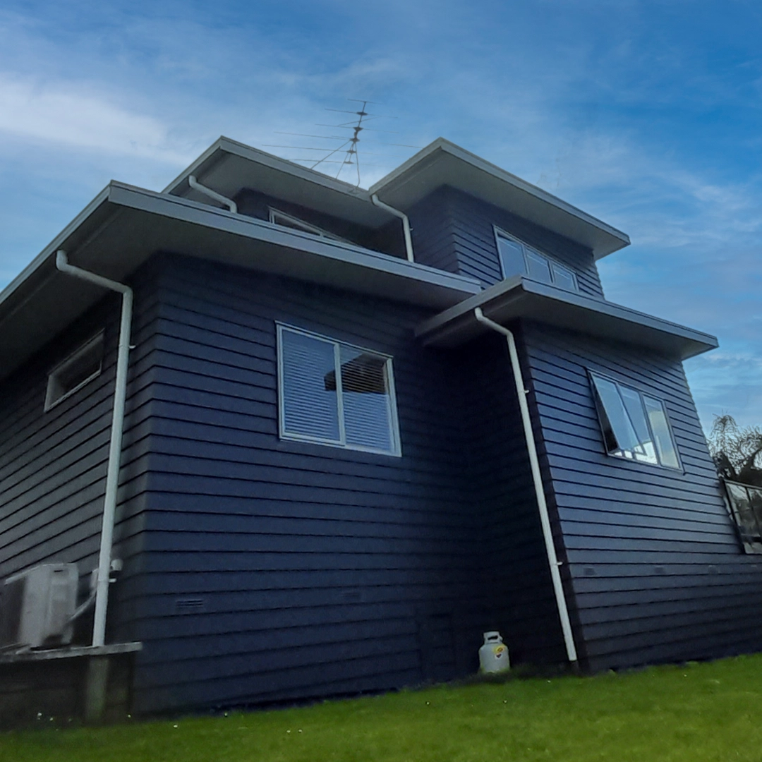 the house painters exterior painting auckland