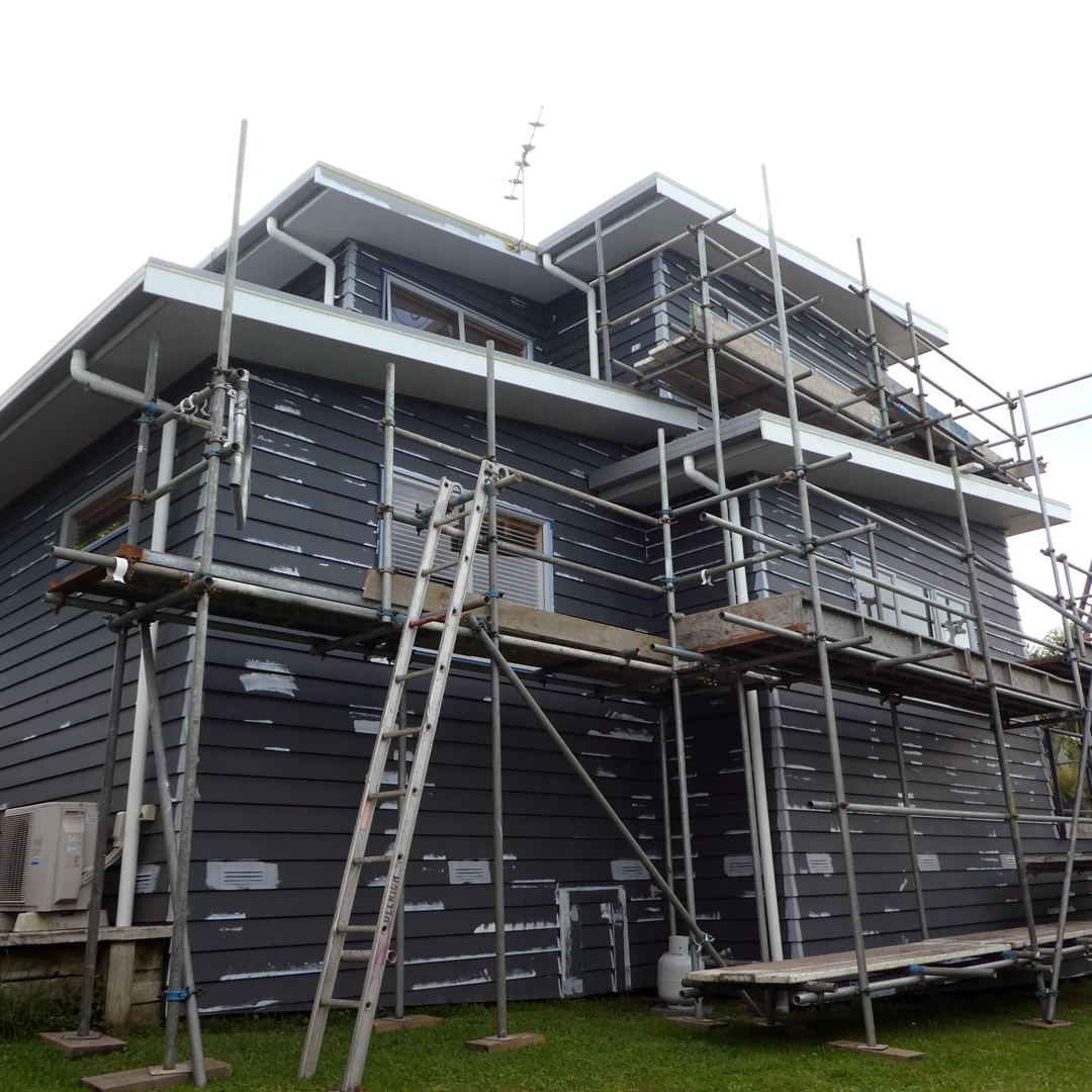 the house painters exterior painting auckland