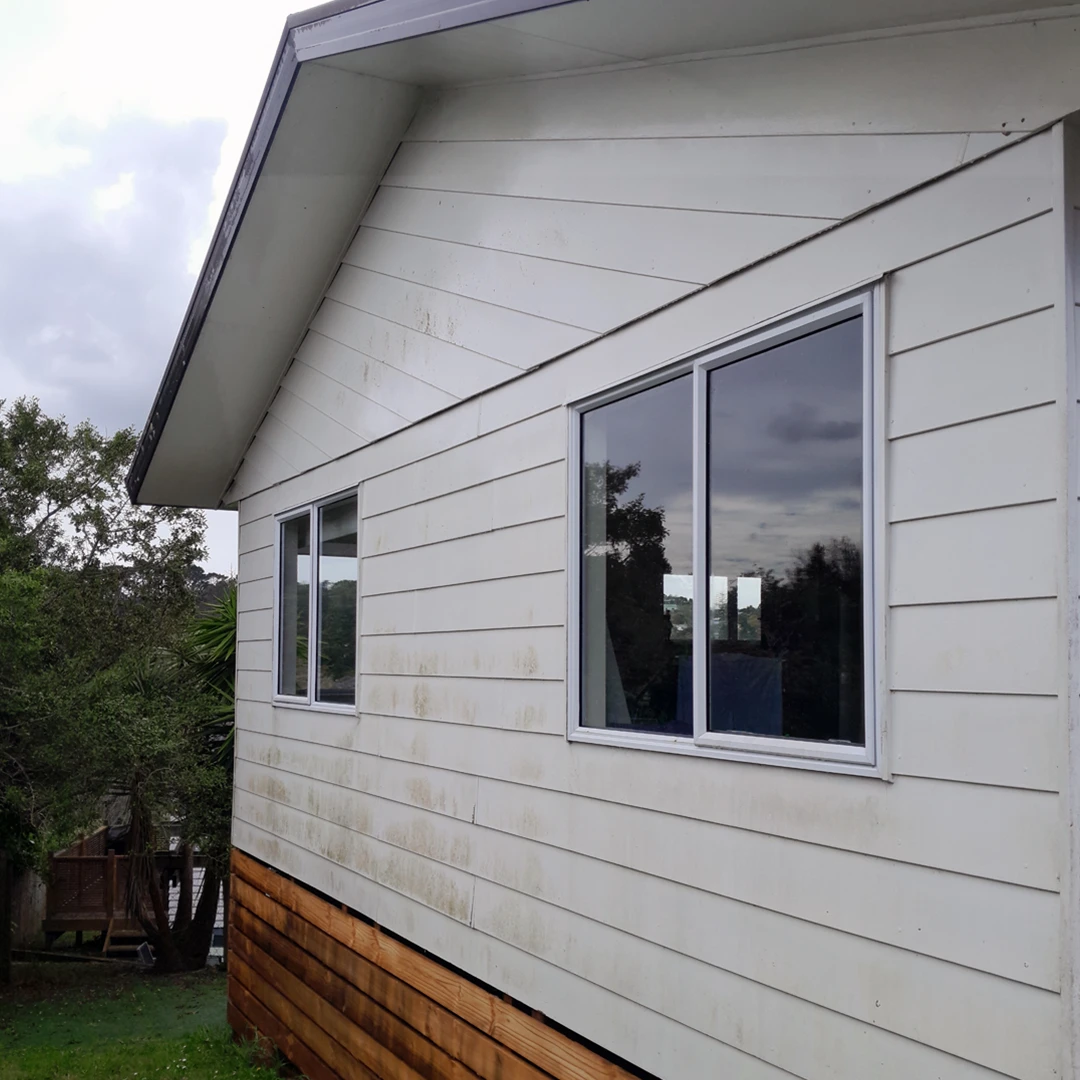 Side view of a white house with two windows, showing signs of weathering on the siding. There are trees and overcast skies in the background.